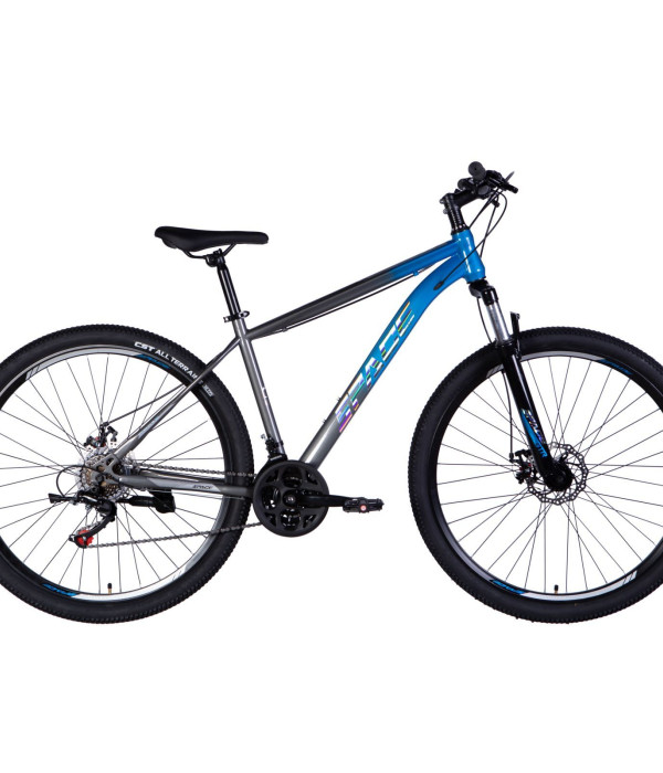 MTB Space 29 blue-silver